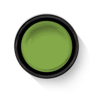art gel verde oliva 20